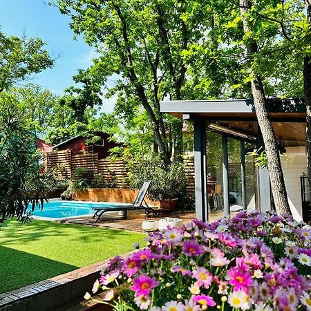 Pine-Wood Resort Balatonalmádi Exterior foto